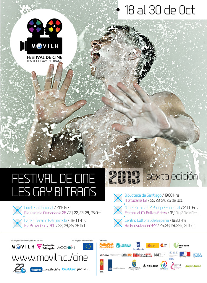 AFICHE-cine-2013