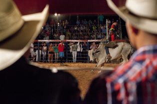 Querência_Homing_Rodeo low