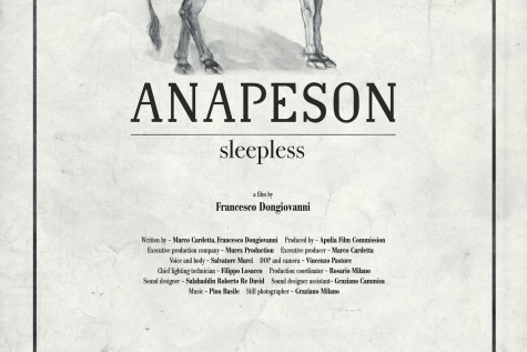 Anapeson-Poster_LR-475x317