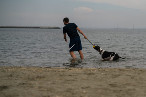 Man and Dog_photo credit Vlad Basca_17