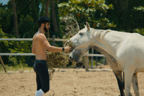 O_CAVALO_DE_PEDRO(PEDRO HAD A HORSE) (8)
